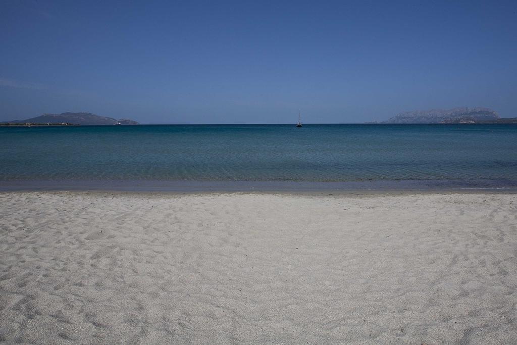 Superior Villa,406812633:JPEG